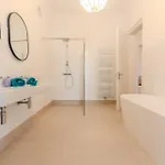 Deluxe Near The Center